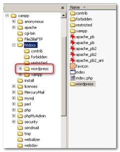 Install WordPress Offline