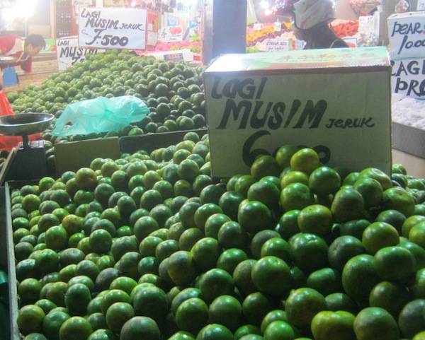 Musim Jeruk Pontianak