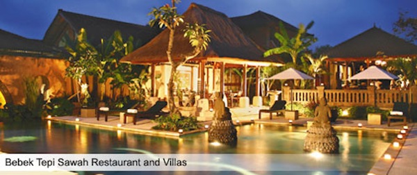 Bebek Tepi Sawah Villas