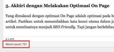 Tampilan Penghitung Kata pada Dashboard WordPress