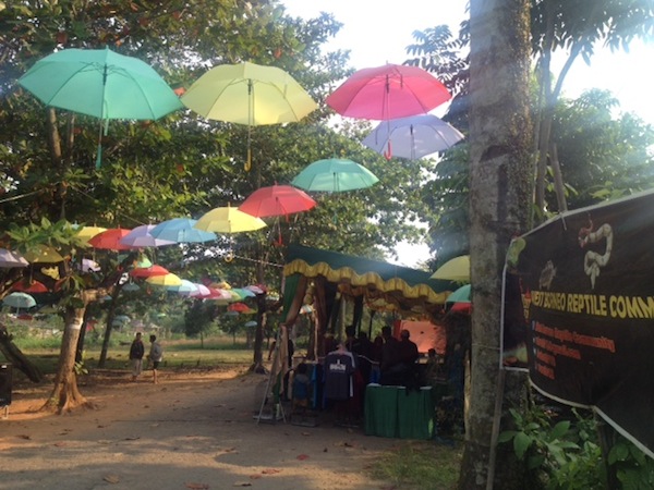 Mini Zoo Pontianak Cinte Satwa