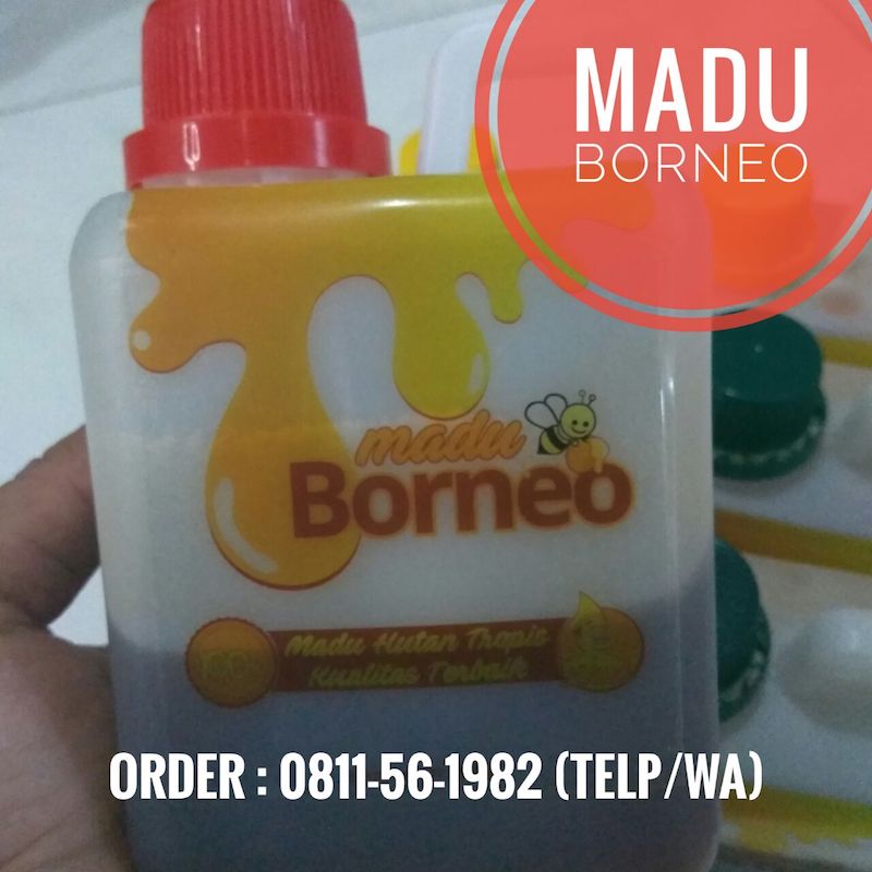 Madu Hutan Asli Kalimantan Borneo