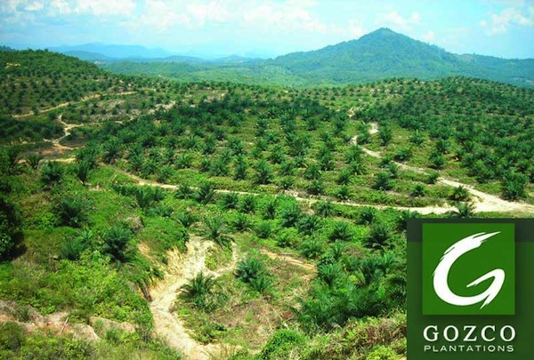 Perusahaan Perkebunan Sawit Gozco